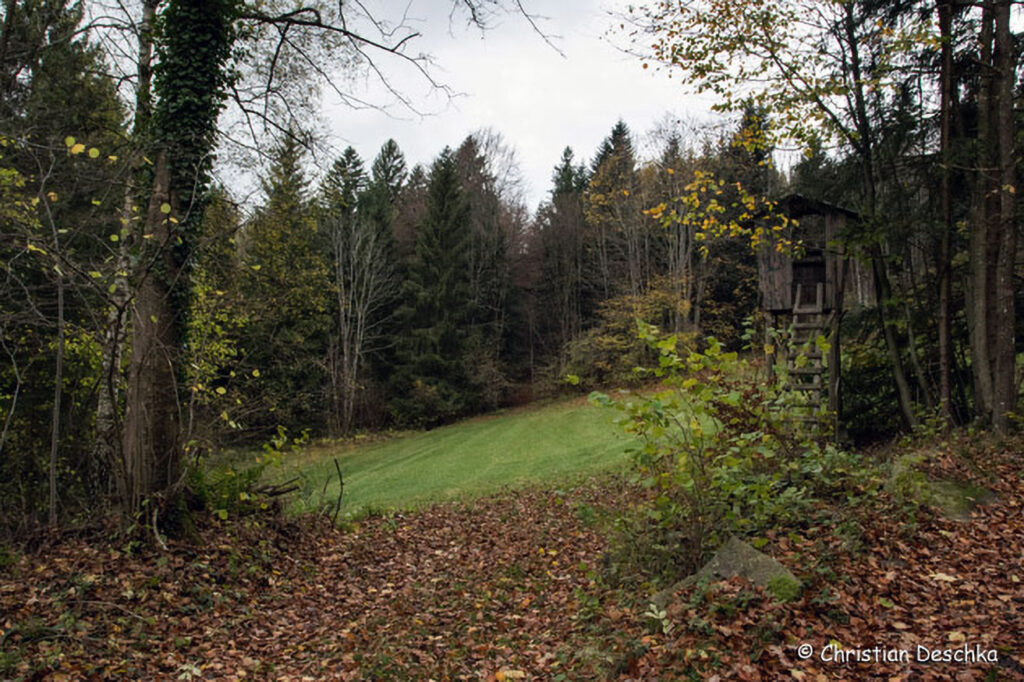 002_Feldwiese.jpg 002_Feldwiese