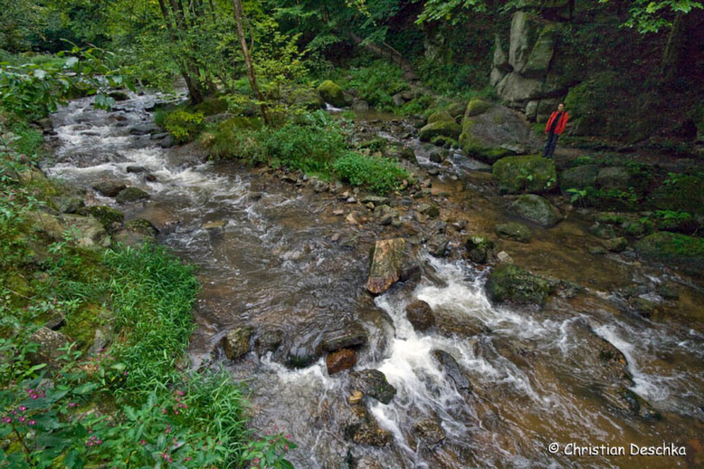 002_Naturschutzgebiet-Pesenbachtal