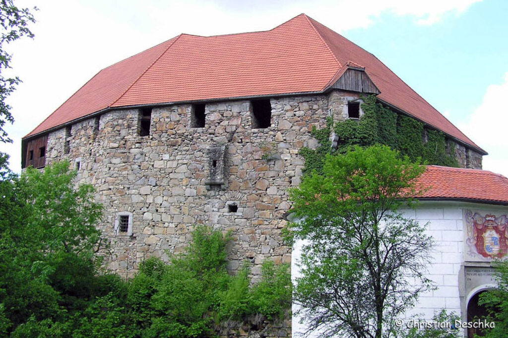 003_Mauerseglerprojekt