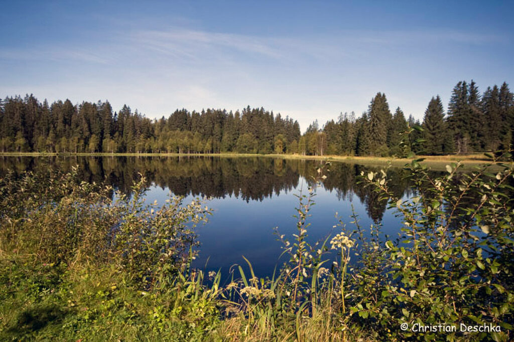003_Rosenhofteiche