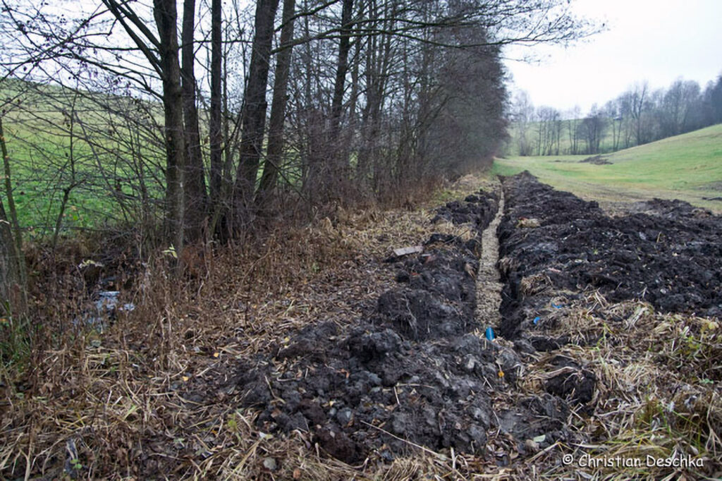 005_Amphibienprojekt