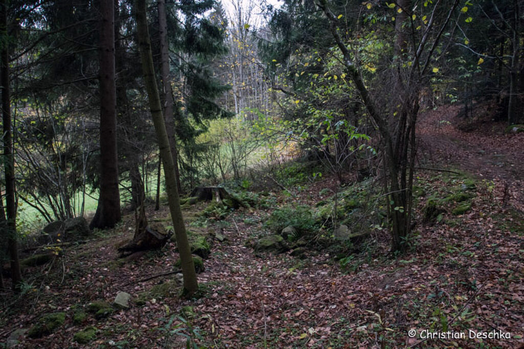005_Feldwiese.jpg 005_Feldwiese