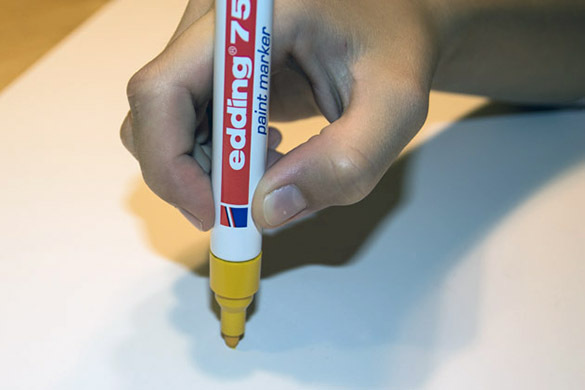 005_Feuersalamandermodell