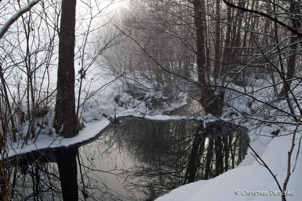 005_Tierspuren-im-Schnee