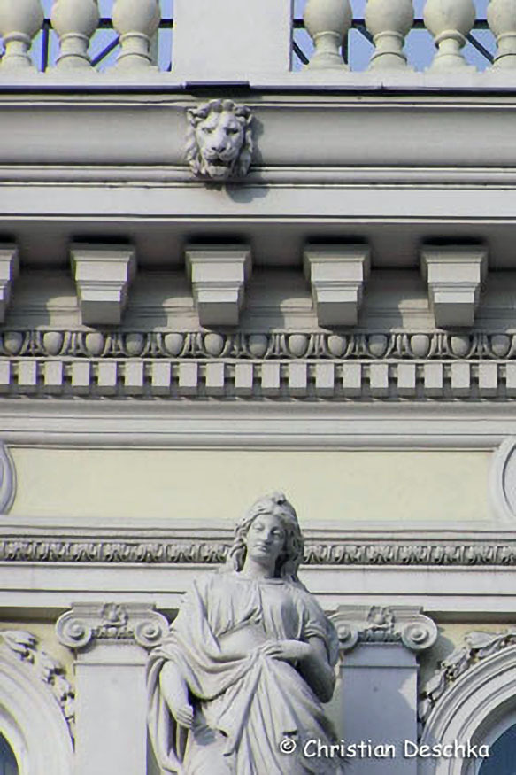 006_2_Mauerseglerprojekt