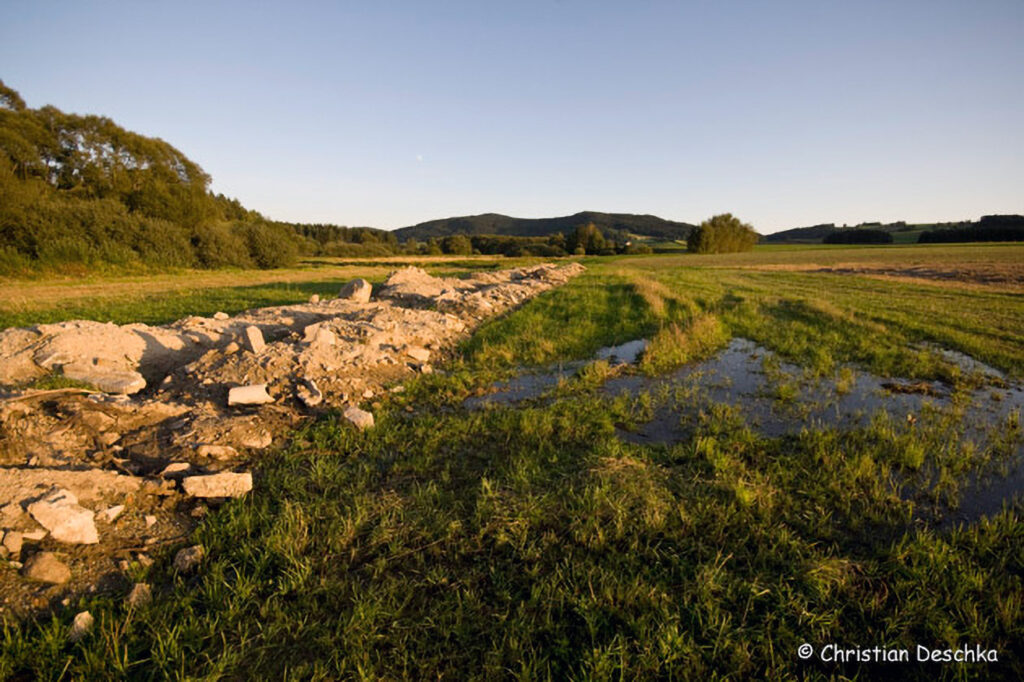 006_Amphibienprojekt