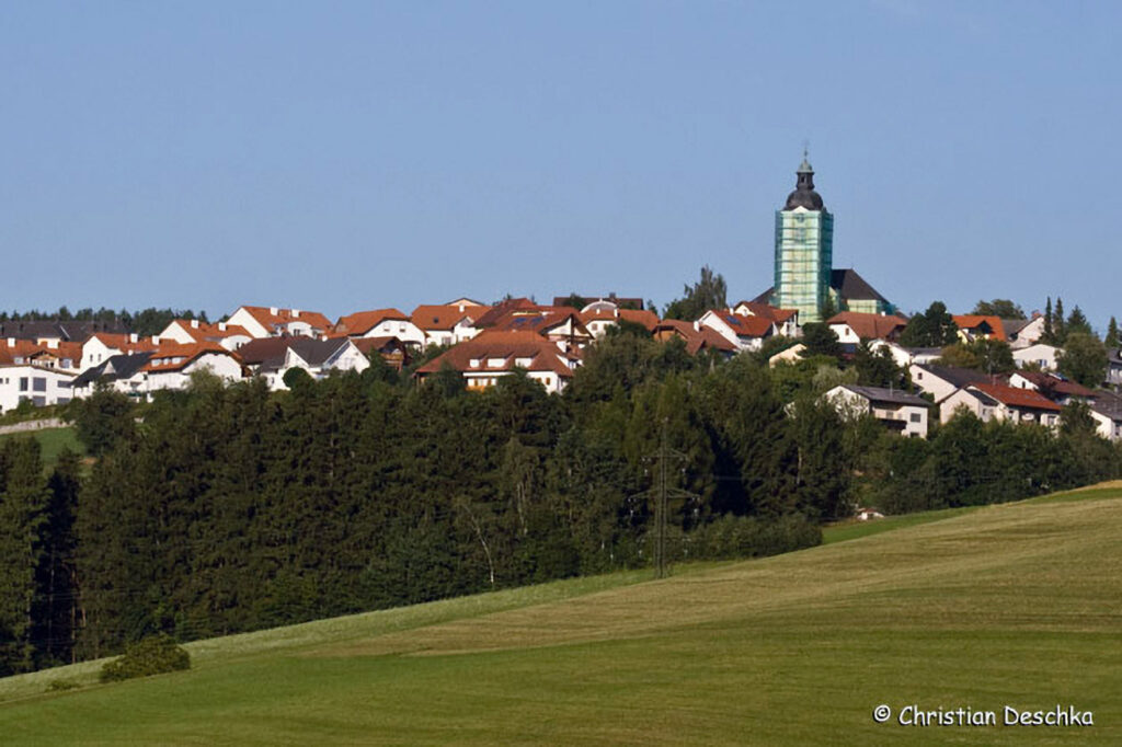 006_Fledermausprojekt