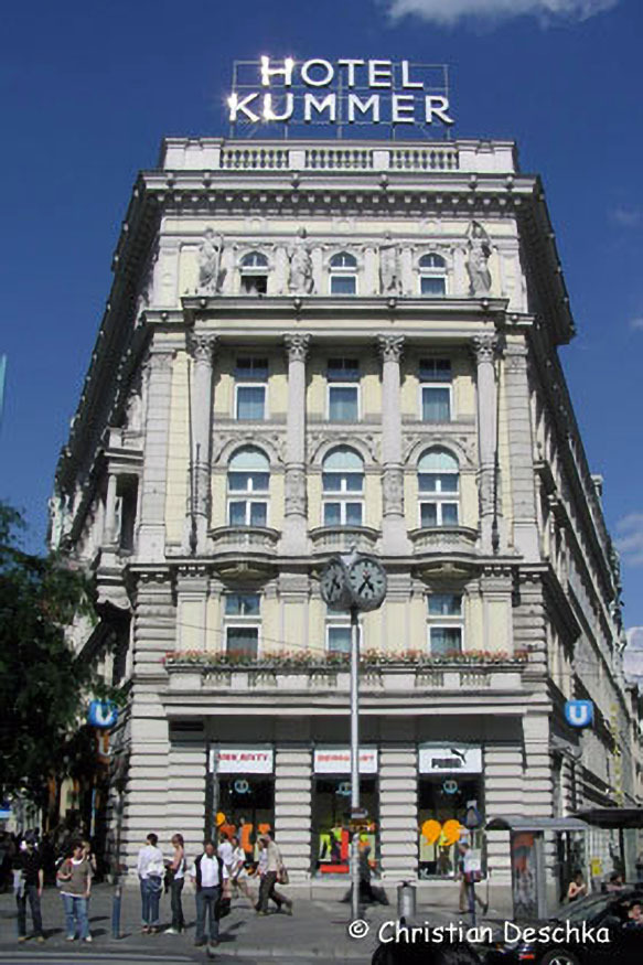 006_Mauerseglerprojekt