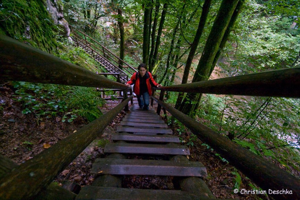 006_Naturschutzgebiet-Pesenbachtal.jpg 006_Naturschutzgebiet-Pesenbachtal