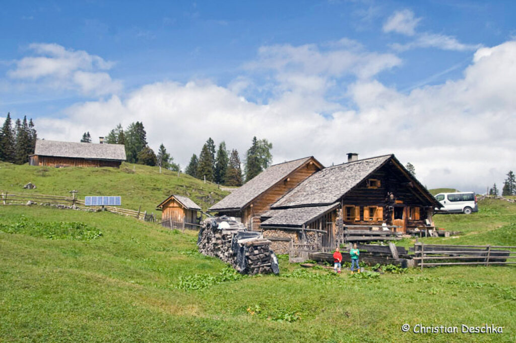 007_Alpensalamander.jpg 007_Alpensalamander