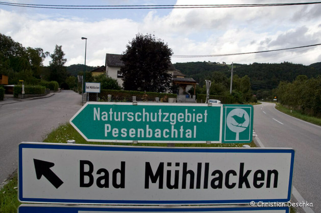 007_Naturschutzgebiet-Pesenbachtal