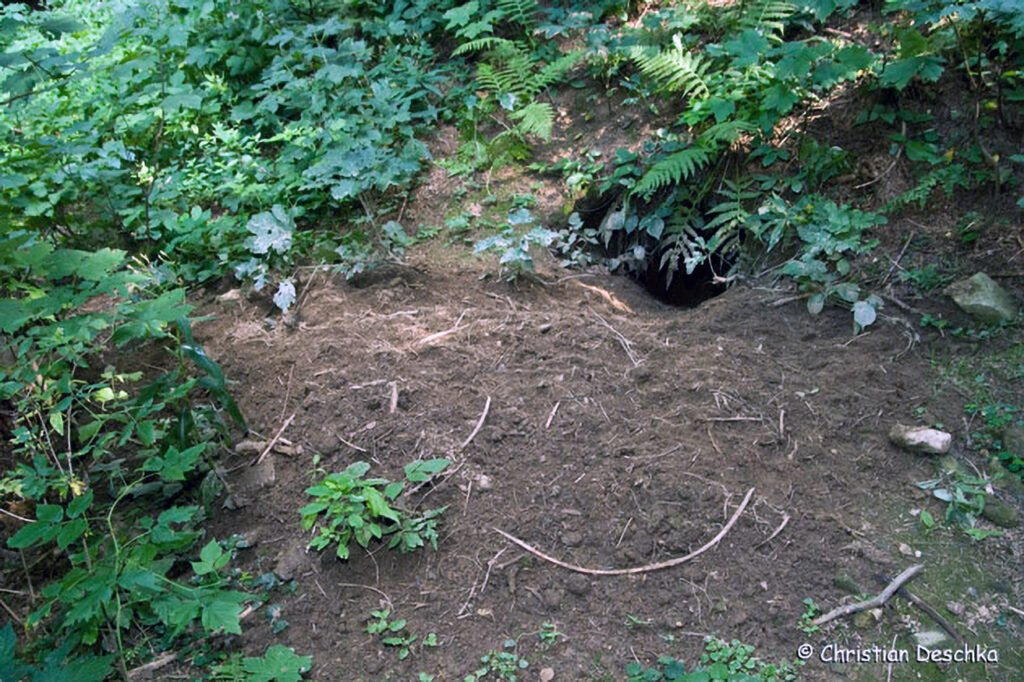 008_Tierspuren-Fotos