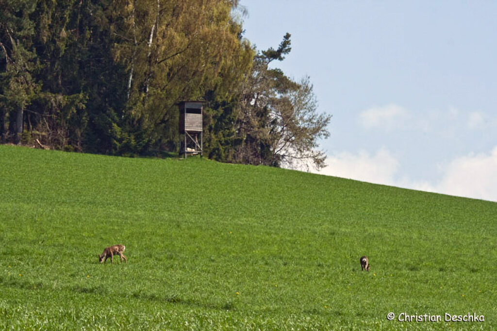 009_Jagd.jpg 009_Jagd