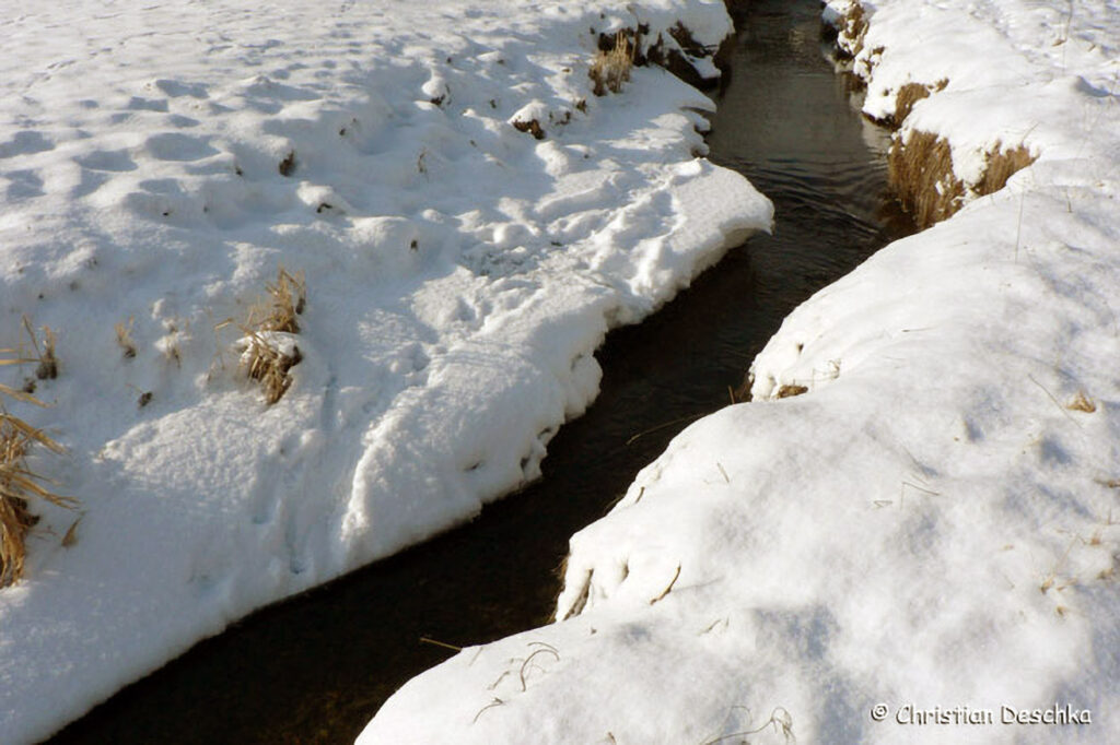 009_Tierspuren-Fotos