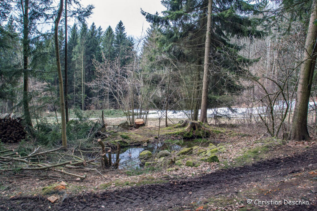 010_Feldwiese.jpg 010_Feldwiese