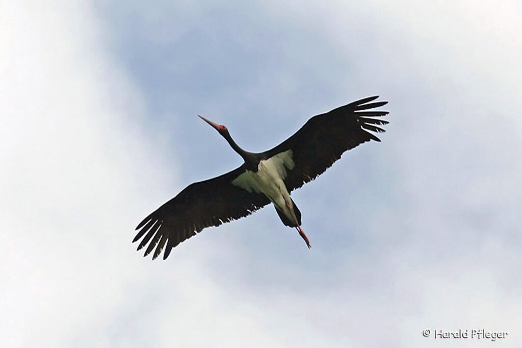 010_Schloegener-Blick