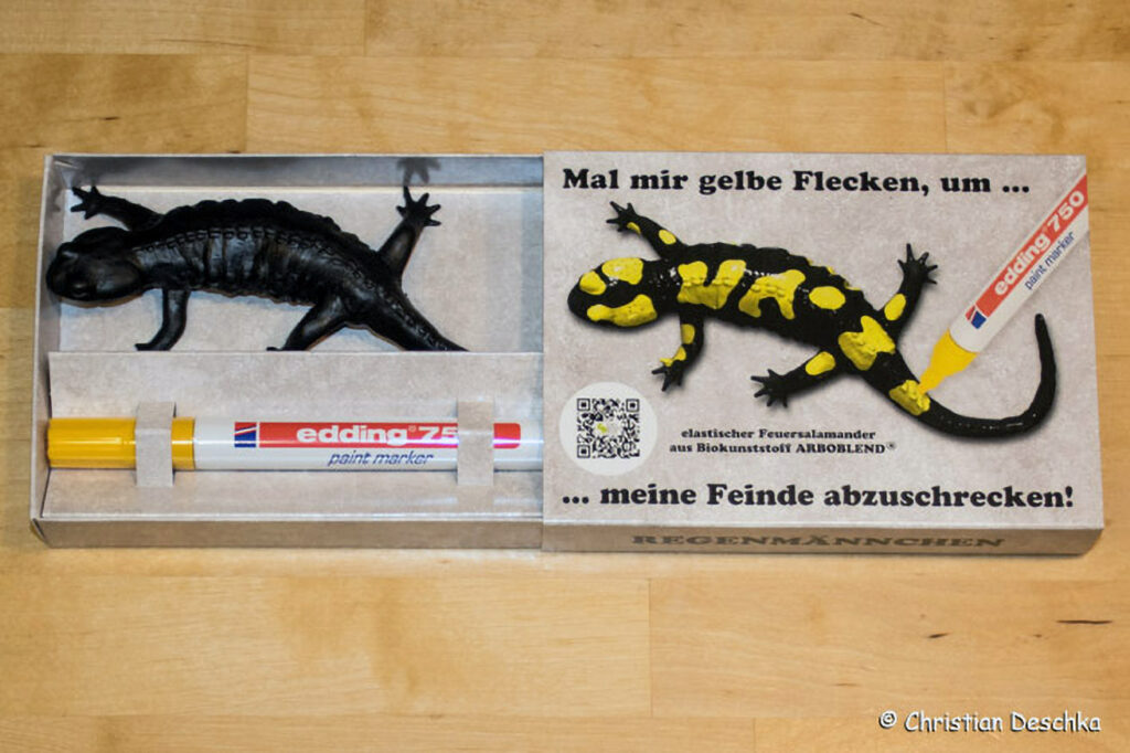 011_Feuersalamander