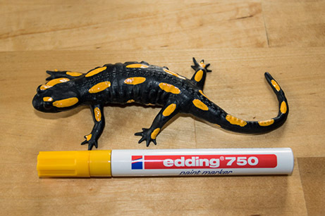 011_Feuersalamandermodell