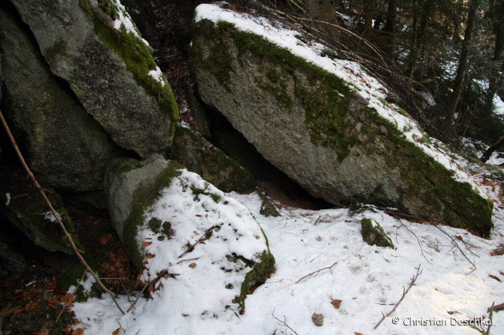 011_Rotfuchs.jpg 011_Rotfuchs
