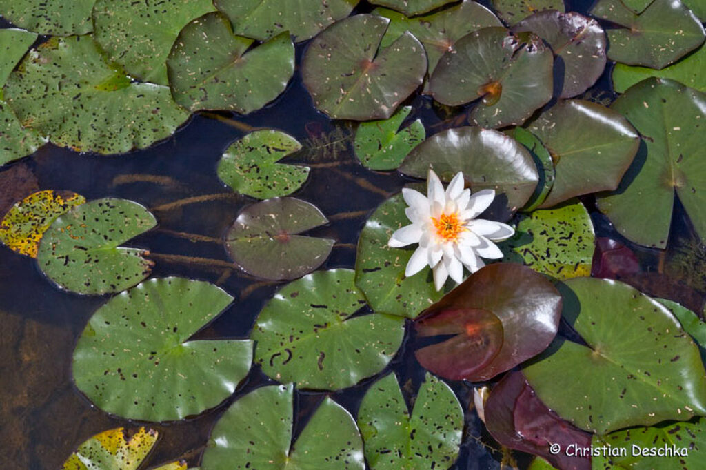 011_Unterwasserreich