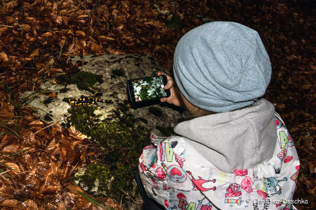 012_Feuersalamandermodell