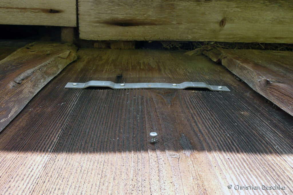 012_Mauerseglerprojekt