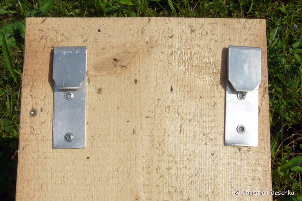 013_Mauerseglerprojekt