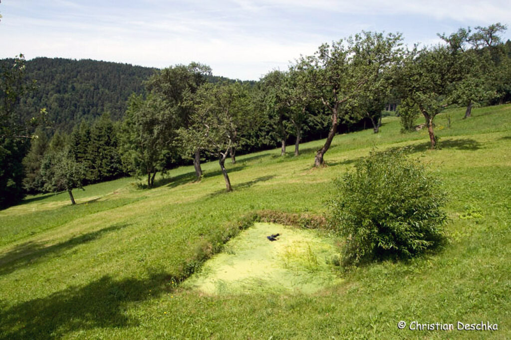 014_Amphibienprojekt