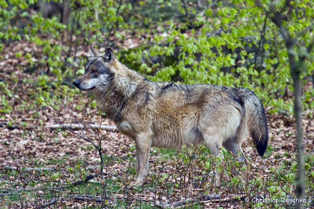 014_Kulturlandschaft