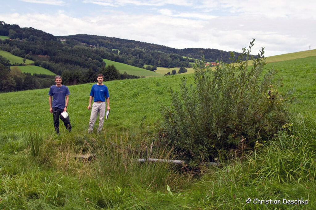 015_Amphibienprojekt