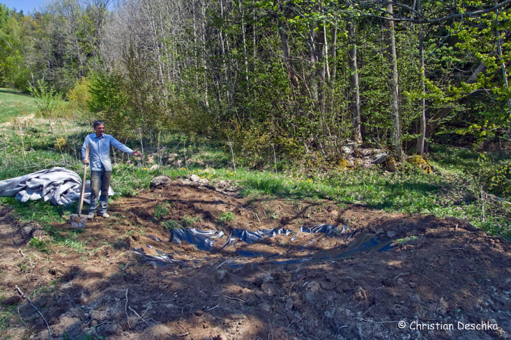 017_Amphibienprojekt