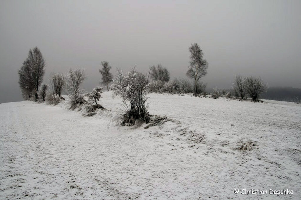 017_Landschaftsschutzgebiet-Oedenkirchen