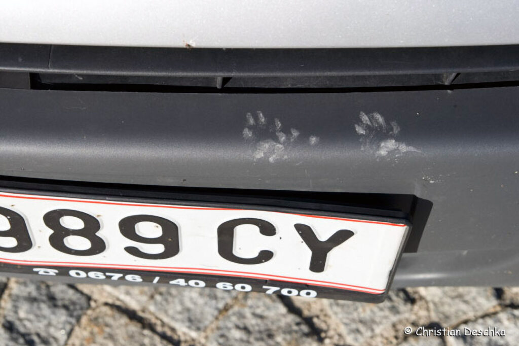 017_Tierspuren-Fotos