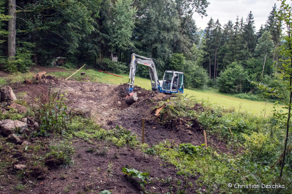 018_Feldwiese.jpg 018_Feldwiese