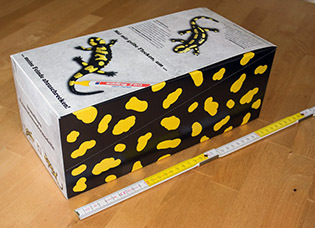 018_Feuersalamandermodell