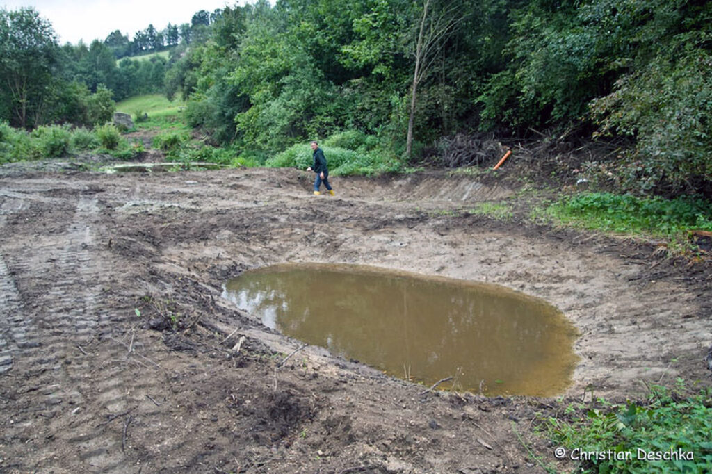 019_Amphibienprojekt