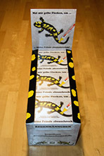019_Feuersalamandermodell