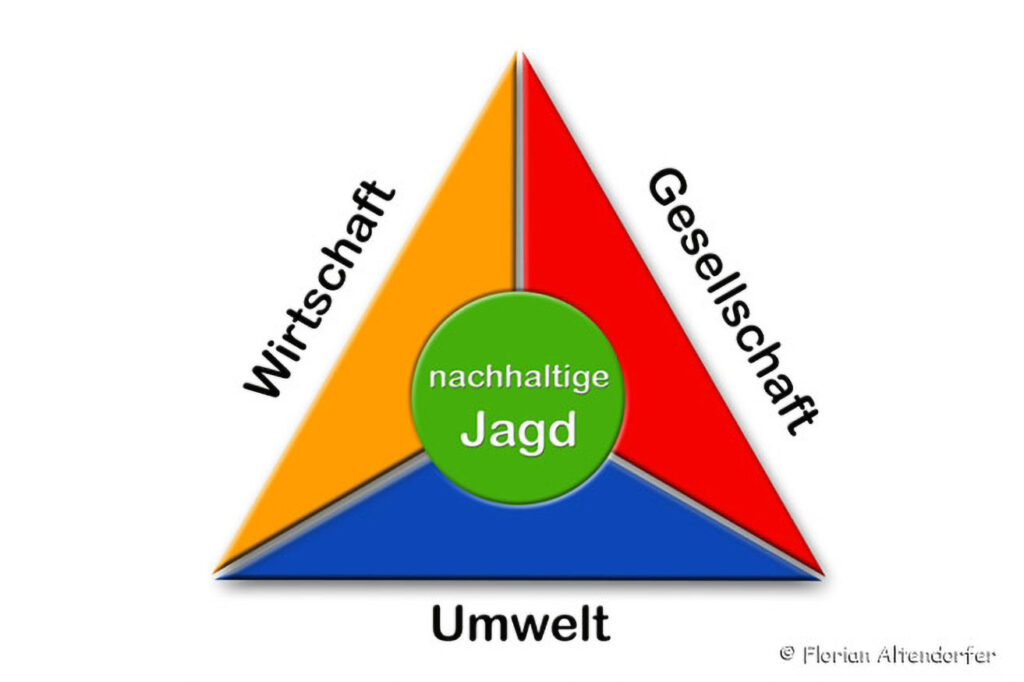 019_Jagd.jpg 019_Jagd