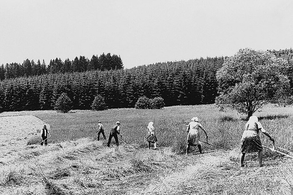 019_Kulturlandschaft