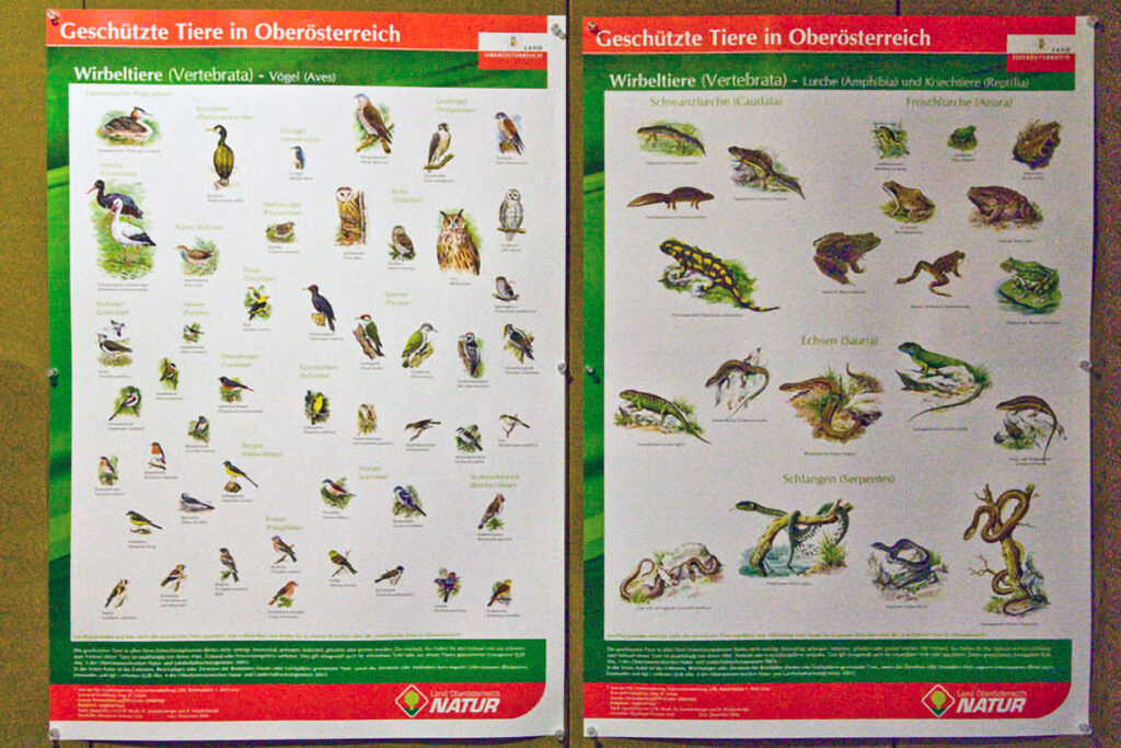 020_Naturschutzgebiet-Pesenbachtal