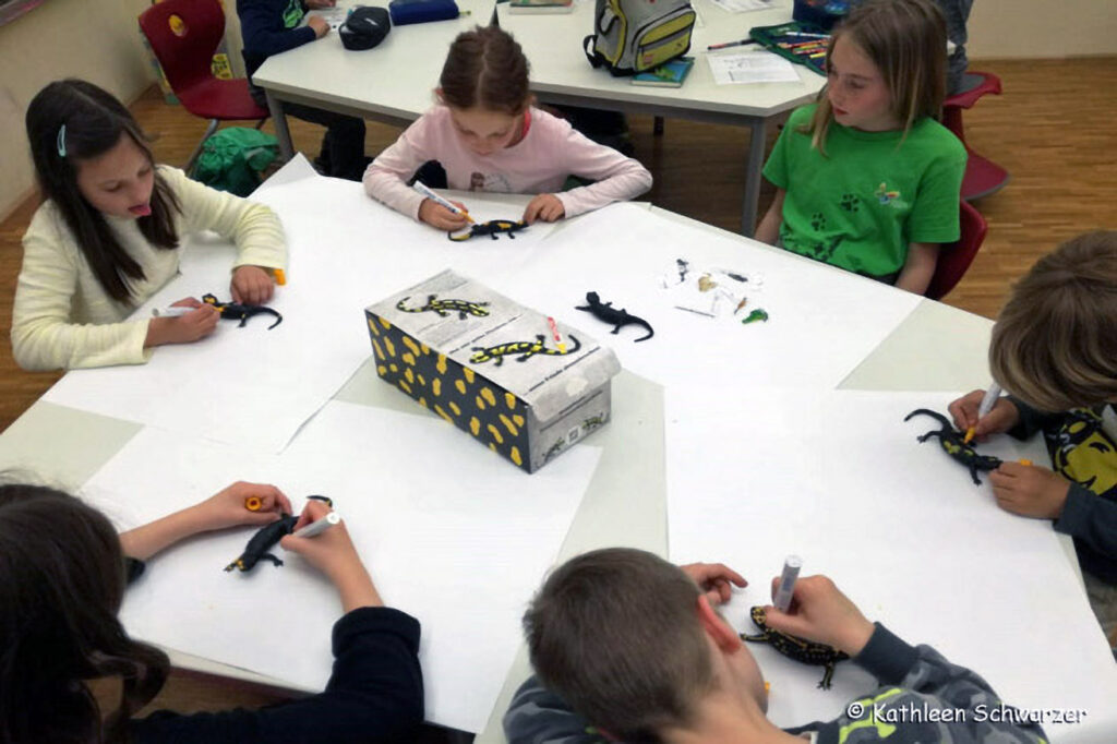 022_Feuersalamandermodell