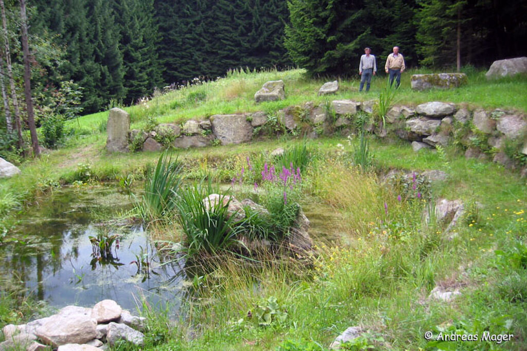 023_Amphibienprojekt.jpg 023_Amphibienprojekt
