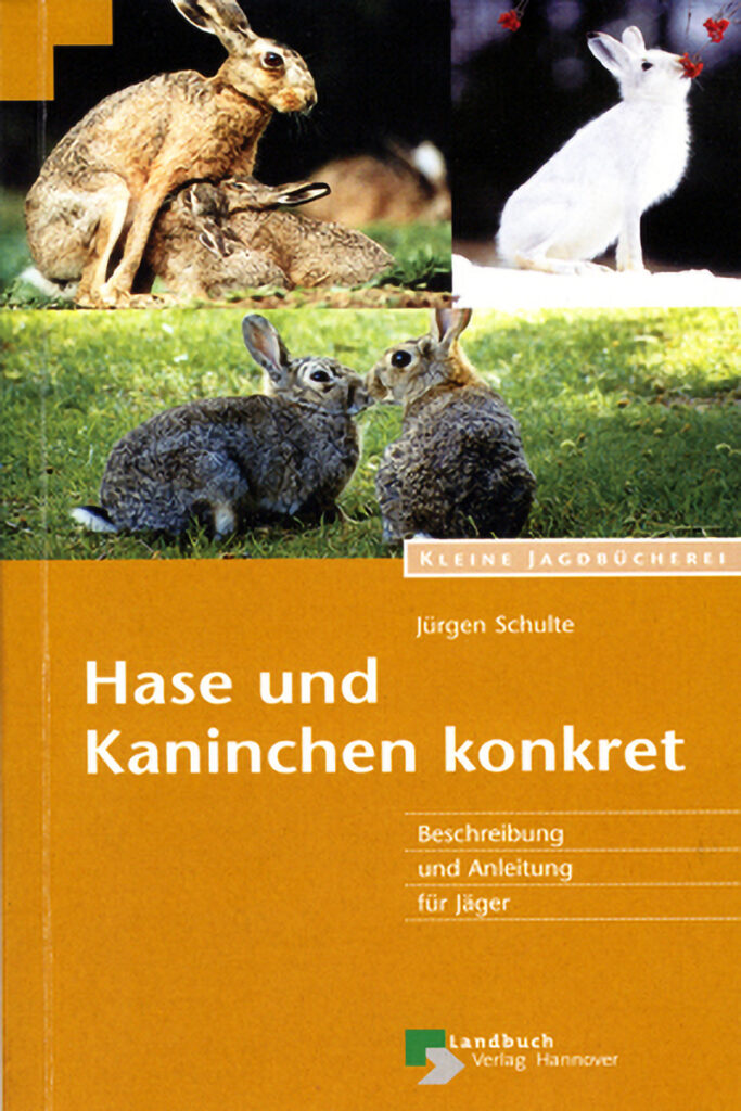 023_Wildkaninchen