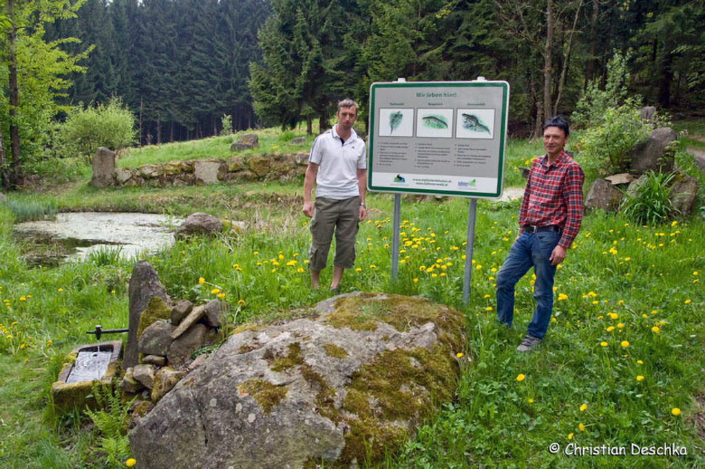 024_Amphibienprojekt.jpg 024_Amphibienprojekt