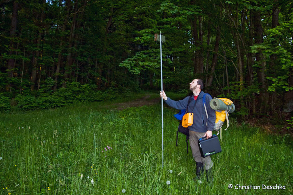 024_Fledermausprojekt.jpg 024_Fledermausprojekt