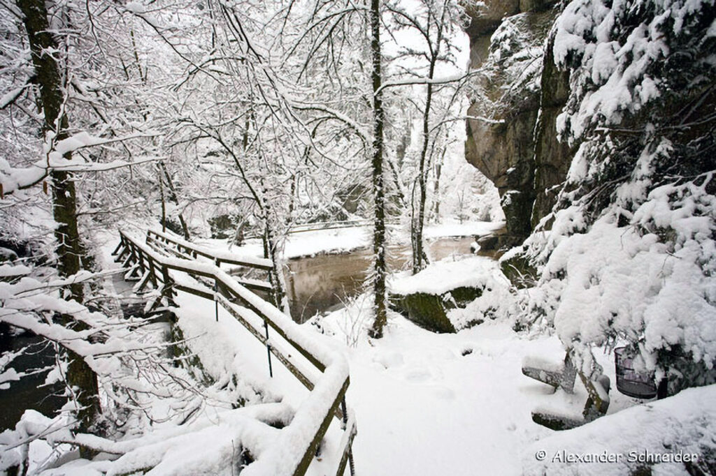 024_Naturinfozentrum-Saxen