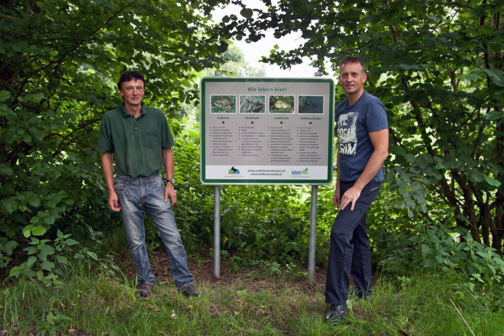 026_Amphibienprojekt