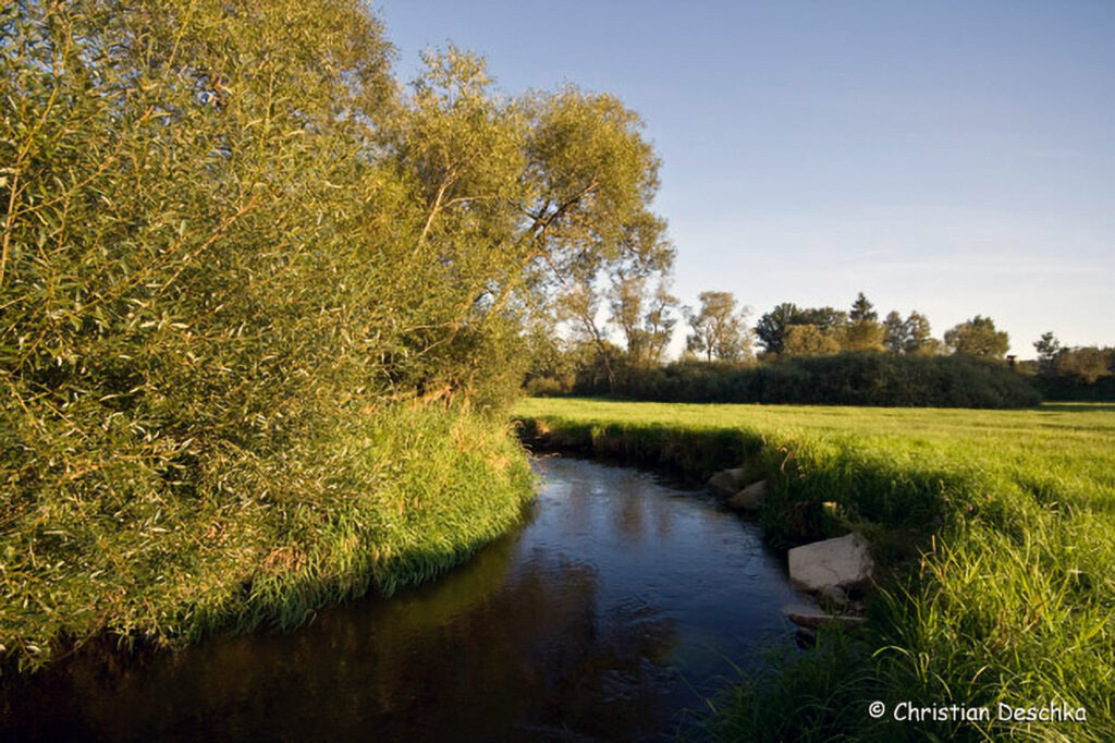027_Maltsch.jpg 027_Maltsch