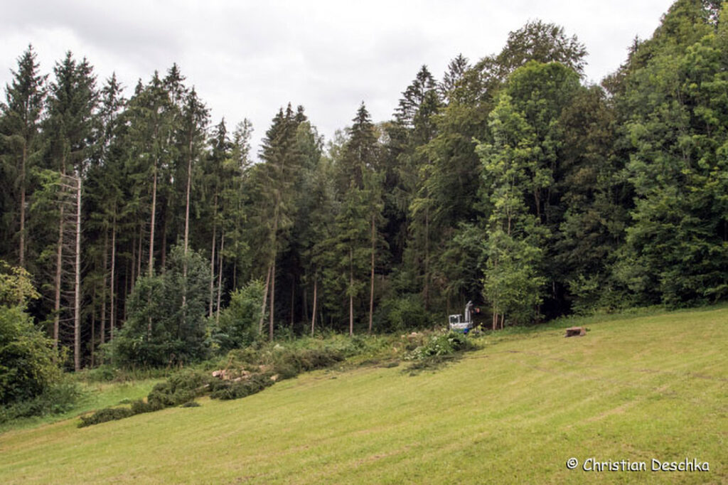029_Feldwiese.jpg 029_Feldwiese