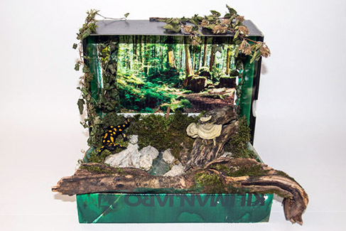 030_Feuersalamandermodell